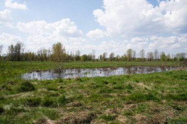 Çayırları sel basmış, çayırları su basmış. Yağmurdan sonra su