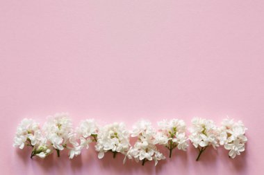 Pastel pembe arka planda beyaz çiçekler. En düşük düz görünüm kompozisyonu.