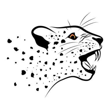 Beyaz arkaplanda leoparın soyut portresi
