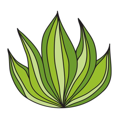 Beyaz arkaplan üzerinde yeşil çimen resmi