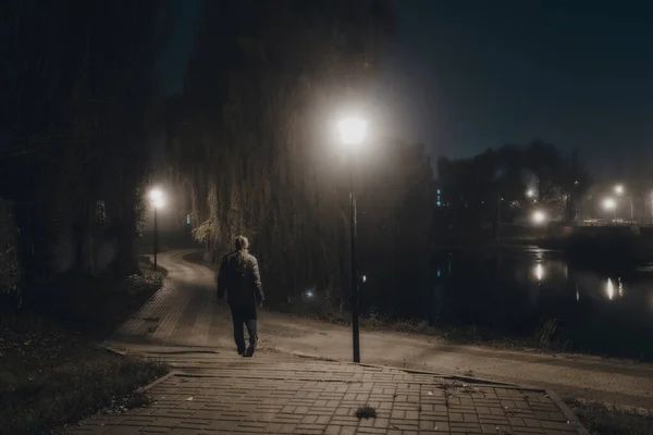 Περπατώντας Κατά Μήκος Του Σοκάκι Ομιχλώδη Πάρκο Νύχτα — Φωτογραφία Αρχείου