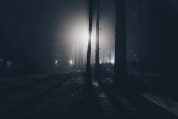 Міський Парк Вночі Тумані — стокове фото