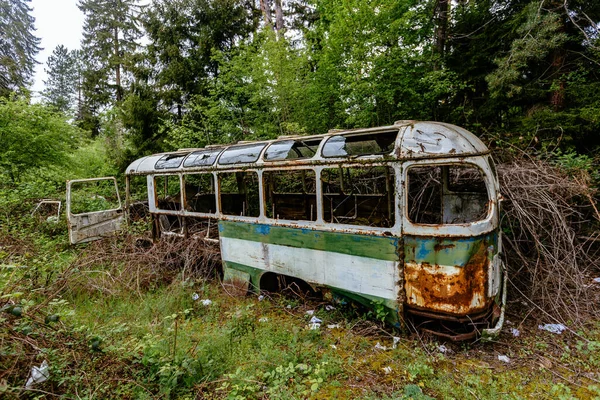 Vecchio Autobus Rotto Troppo Cresciuto Concetto Post Apocalittico Verde — Foto Stock