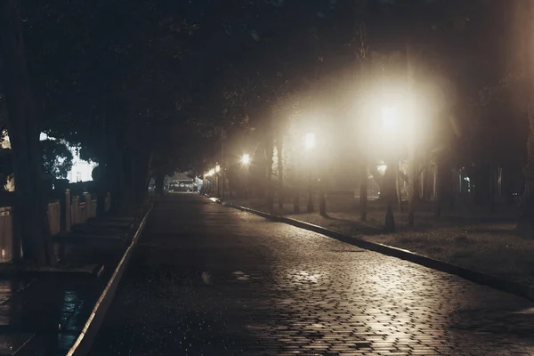 Parque Cidade Verão Noite Nevoeiro — Fotografia de Stock