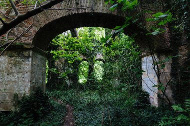 Bitki örtüsüyle kaplanmış eski tarihi yapı kalıntıları, kıyamet sonrası yeşil kavram..
