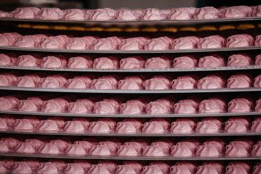 Yarı bitmiş zephyrs kurutma ve soğutma paletler üzerinde şekerleme, kapatın.