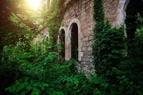 Antiguas Ruinas Edificio Histórico Cubierto Vegetación — Foto de Stock