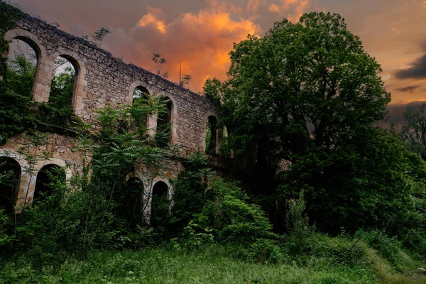 Vieilles Ruines Bâtiments Historiques Envahis Par Végétation — Photo
