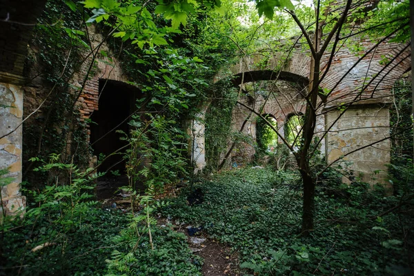 Oude Ruïnes Van Historisch Gebouw Begroeid Met Vegetatie Groen Post — Stockfoto