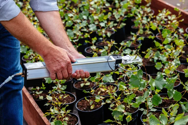 stock image Scientist measuring plant photosynthesis by using portable device in plant nursery.