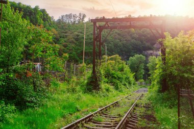 Old abandoned overgrown railway station.