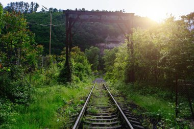 Old abandoned overgrown railway station.