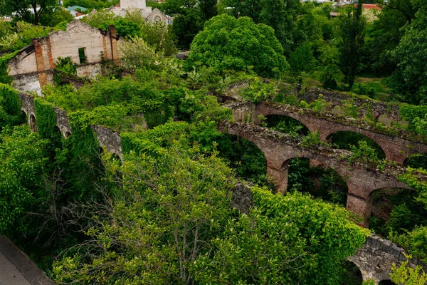 Ruínas Antigas Edifício Histórico Coberto Por Vegetação Verde Conceito Pós — Fotografia de Stock