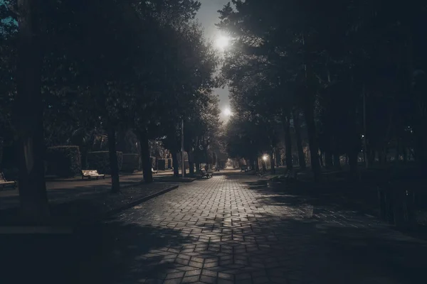 Parque Cidade Verão Noite Nevoeiro — Fotografia de Stock