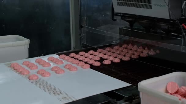 Proces Van Chocolade Beglazing Marshmallows Zoetwaren Transportband Machine Close — Stockvideo