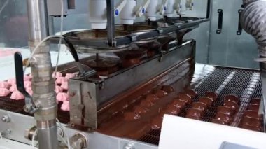Çikolata jöleli şekerlemelerin konveyör makinesindeki şekerlemelerle işlenmesi. Marshmallow üretim hattı.