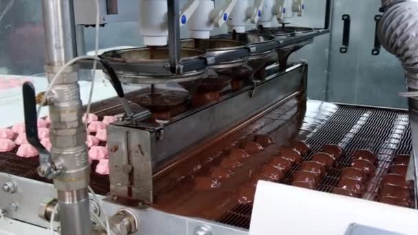 Processus Glaçage Chocolat Guimauves Dans Confiserie Sur Machine Convoyage Ligne — Video