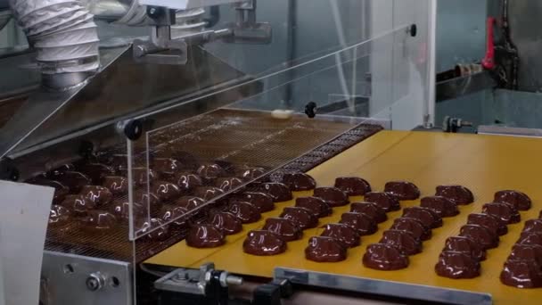 Proces Czekoladowych Pianek Szklanych Wyrobach Cukierniczych Przenośnikach Taśmowych Zbliżenie — Wideo stockowe