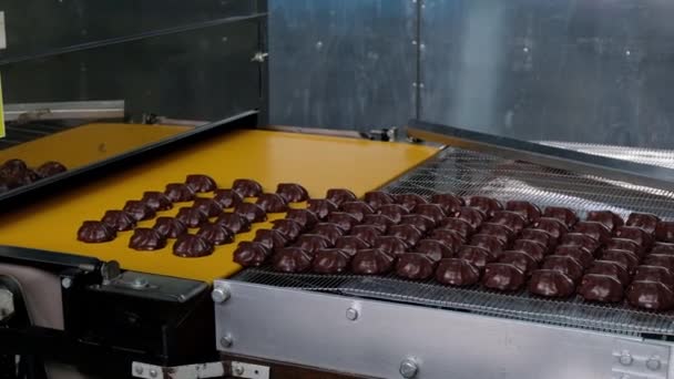 Proces Van Chocolade Beglazing Marshmallows Zoetwaren Transportband Machine Close — Stockvideo