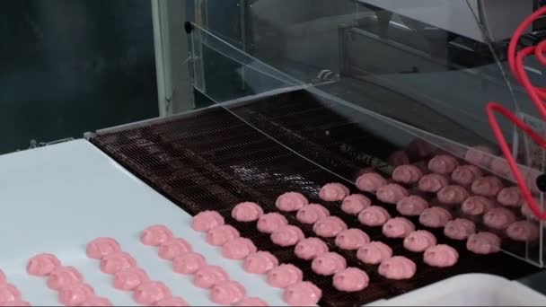 Proces Van Chocolade Beglazing Marshmallows Zoetwaren Transportband Machine Marshmallow Productielijn — Stockvideo