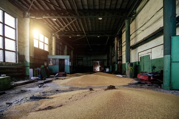Old wheat grain storage in the hangar.
