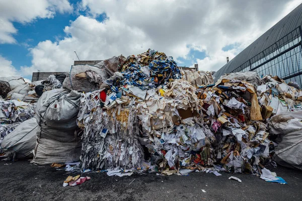 Geri dönüşüm fabrikasında atık kağıt yığını.