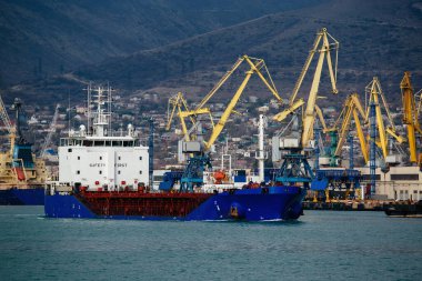 Novorossiysk 'te kargo vinçleri olan ticari liman terminali.