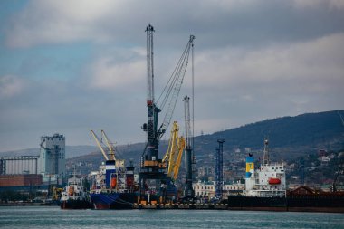 Novorossiysk 'te kargo vinçleri olan ticari liman terminali.