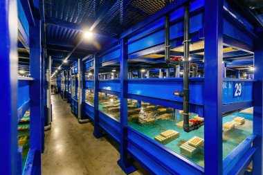 Su havzaları, otomatik beslenme ve kerevit ve ıstakoz yetiştirmek için su döngüsü..