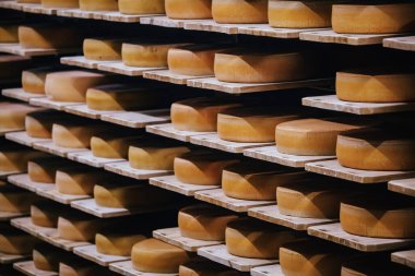 Peynir deposunda tekerlekleri olan raflar..