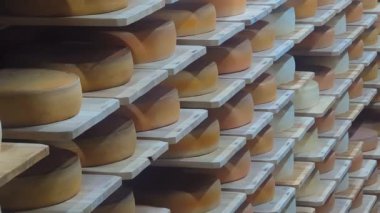 Peynir deposunda tekerlekleri olan raflar, seçici odaklanma.