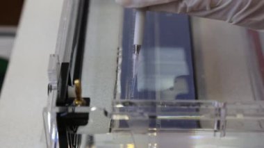 Bilim adamları DNA parçalarının elektroforez için ayrıştırılması için örnekleri agaroz jeline koyuyor..