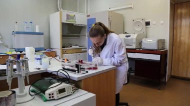 Bilim adamları DNA parçalarının elektroforez için ayrıştırılması için örnekleri agaroz jeline koyuyor..