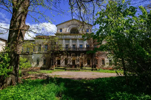 Eski harabe Baryshnikov malikanesi. Smolensk Oblastındaki Eski Aleksino Malikanesi.