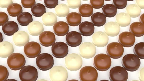 Muchas Filas Con Diferentes Malvaviscos Recubiertos Chocolate — Vídeos de Stock