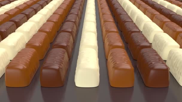 Muchas Filas Con Pralinés Chocolate Oscuro Blanco Leche — Vídeos de Stock