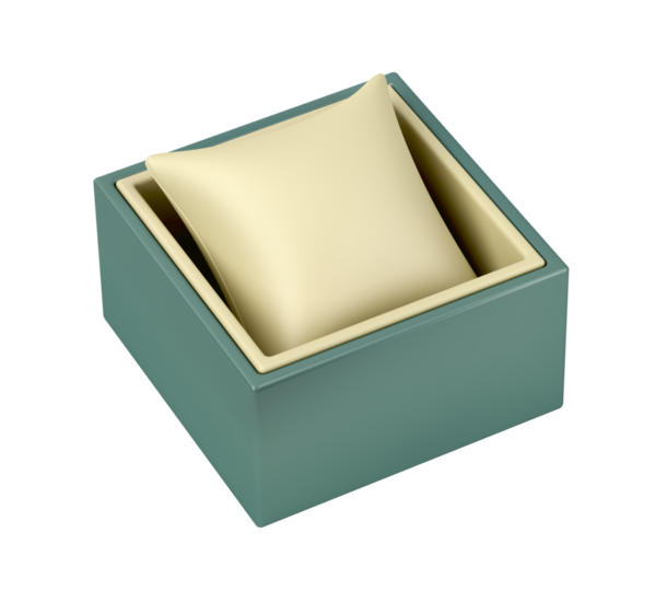 Saat veya mücevher için lüks kutu