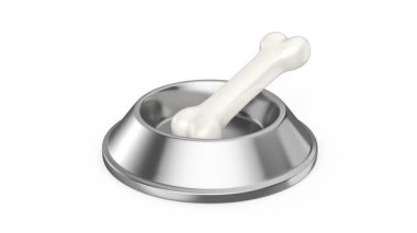 Beyaz arka planda kemik olan gümüş köpek kasesi.