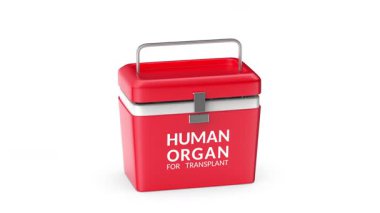 İçinde buz olan boş bir organ nakil kutusu açmak.