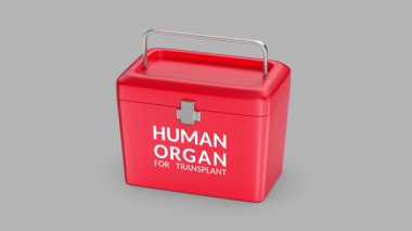 Gri arkaplanda insan organ nakil kutusu