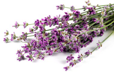  Lavanta buket beyaz arka plan üzerinde