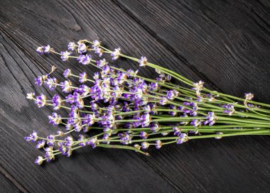 Siyah ağaçlıkta lavanta buketi