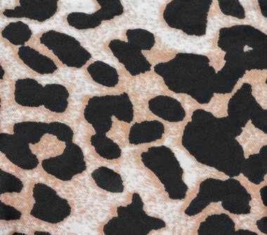 Kaplan izi. Yakın çekim.