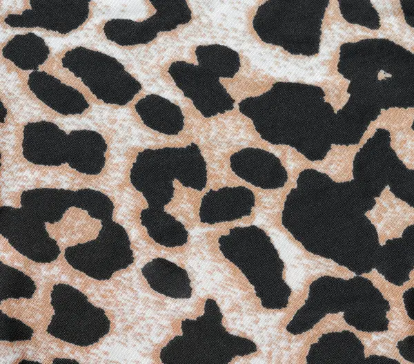 Kaplan izi. Yakın çekim.