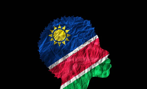 African Woman Silhouette Namibia National Flag — Stock Photo, Image