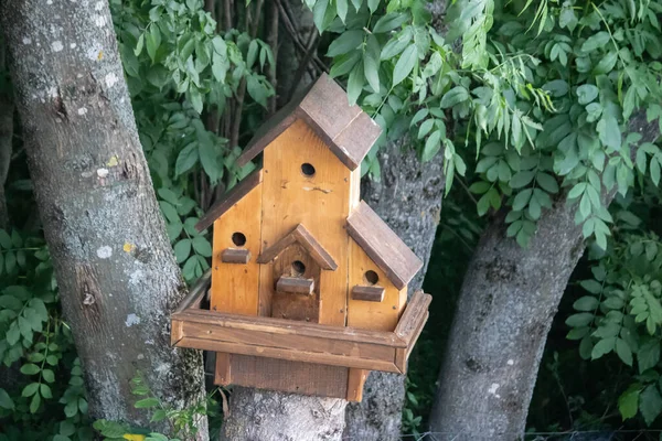 Abri Bois Fait Main Maison Oiseaux Placé Sur Arbre Dans — Photo