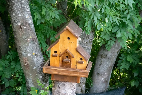 Ručně Vyrobený Dřevěný Přístřešek Ptačí Budka Umístěný Stromě Lese — Stock fotografie