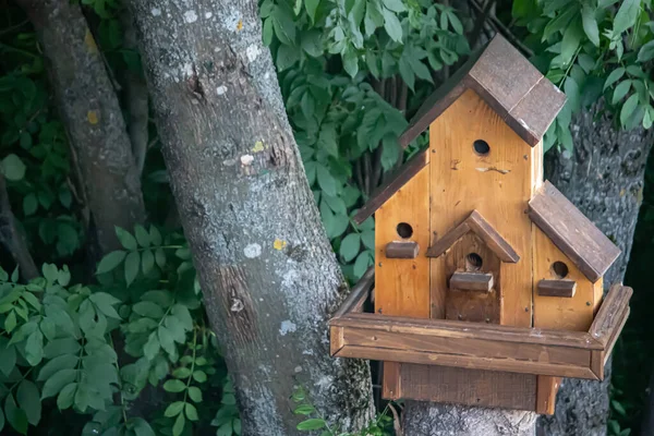 手で作られた木製の避難所 鳥の家 森の中の木の上に配置 — ストック写真
