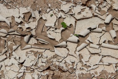 Küresel ısınma ve karbondioksit salınımı sonucu toprak ve toprağın çatlak yüzeyi Dünya gezegenini kurtardı.