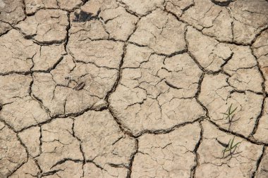 Küresel ısınma ve karbondioksit salınımı sonucu toprak ve toprağın çatlak yüzeyi Dünya gezegenini kurtardı.